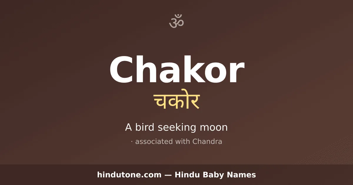 Chakor