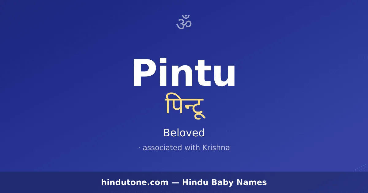 Pintu