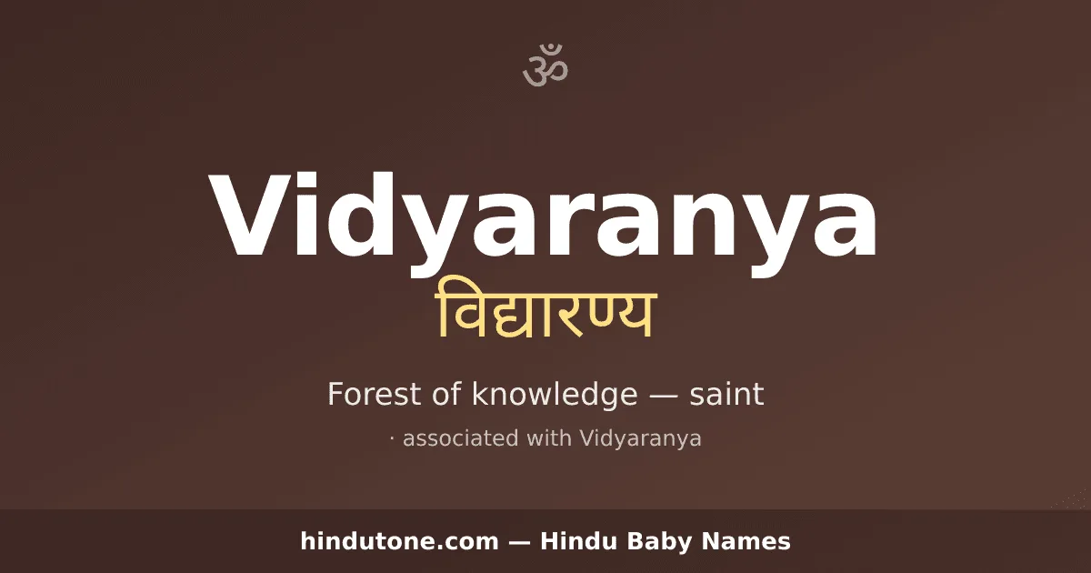 Vidyaranya — Hindu Boy Names with V
